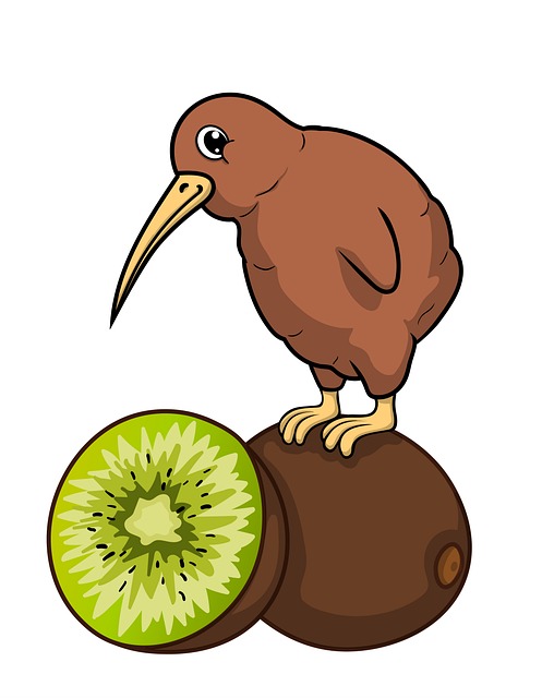 kiwi fruit and kiwi bird